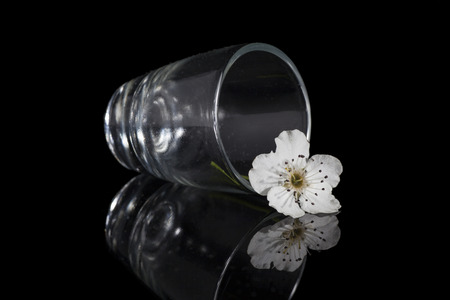 A small white flower in a glassの写真素材