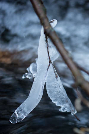 Ice twig at the creekの写真素材