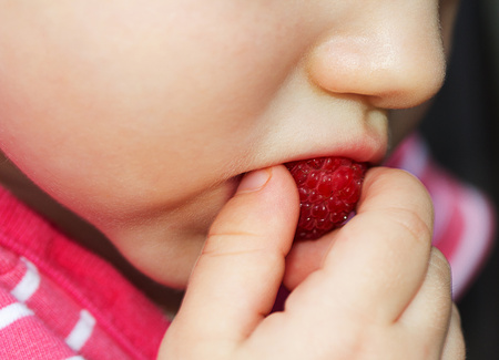 Cute young girl eating raspberry from her fingersの写真素材