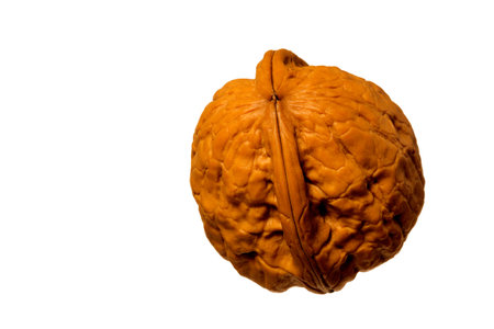 Detail view of walnut on white background