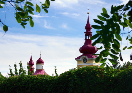 Village church towers for a living green fenceの写真素材