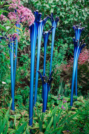 Dale Chihuly, Blue Fiddleheads, 2014 Denver Botanic Gardens, (Portrait)のeditorial素材