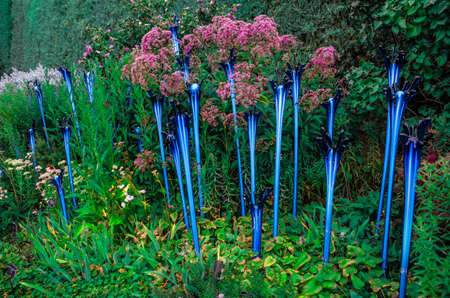 Dale Chihuly, Blue Fiddleheads, 2014 Denver Botanic Gardens, (Landscape)のeditorial素材