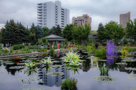 Dale Chihuly, Green Hornets and Gold Waterdrops, 2014 Denver Botanic Gardens, (Landscape)のeditorial素材