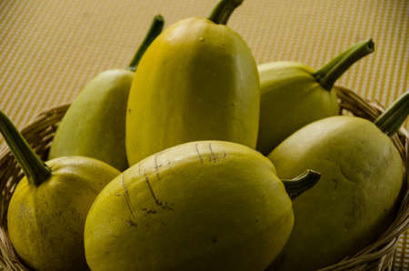Bright yellow ripe squash.の写真素材