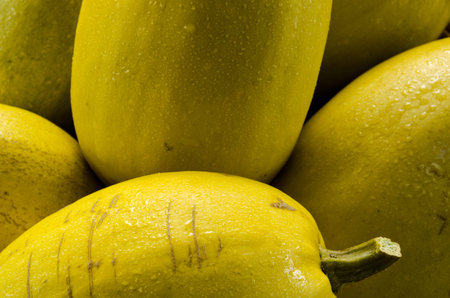 Bright yellow ripe squash.の写真素材