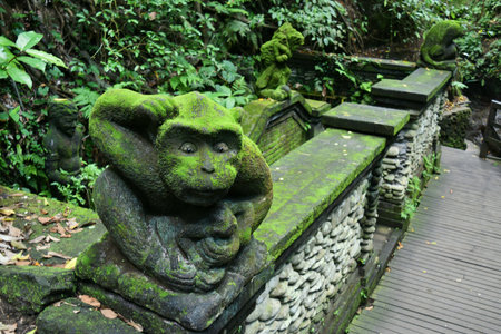 Monkey Forest. Bali. Indonesia.