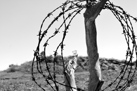 Country morningの写真素材