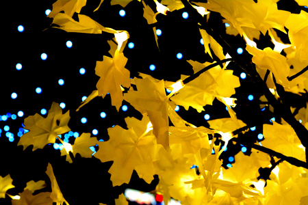 Christmasの写真素材