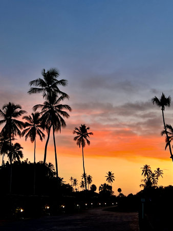 Silhouette of coconut tree on sunset sky background - vintage filterの写真素材