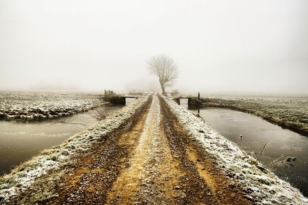 Winter road in a foggy landscapeの写真素材