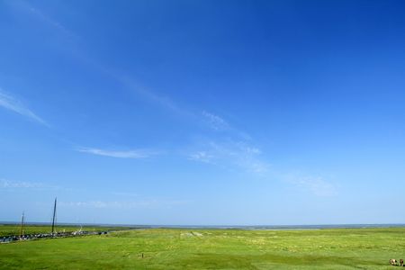 a dutch summer landscape backgroundの写真素材