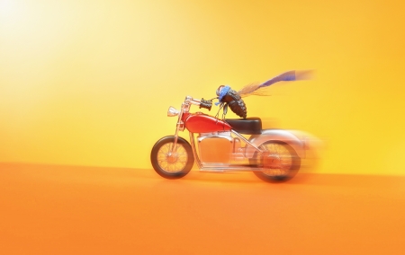 Biker fly living his dreamsの写真素材