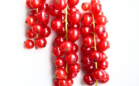 closeup of a bunch of delicate and fresh redcurrants with white background