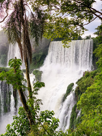 View of Iguazu falls on the lower trail, Argentina