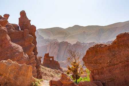 Just outside the city of Ouarzazate is a hiking trail showcasing the magnificent rock formations.