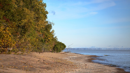 Eastern beach with treeline at Point Peele National Parkの写真素材