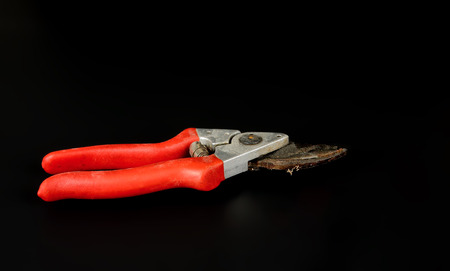 One rusty pruning shears with a red handle on a black backgroundの写真素材