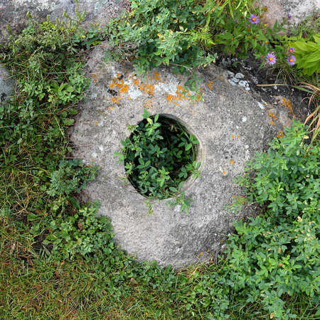 Concrete mound with a post hole in the center with grasses weeds and flowers around itの写真素材