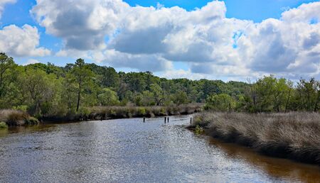 A waterway in coastal Georgia with grasses along the shore and trees in the backgroundの写真素材