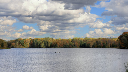 Trees on the shore of Stanfield Lake in early autumn with clouds in a blue sky, at the Muscatatuck National Wildlife Refuge, Indianaの写真素材