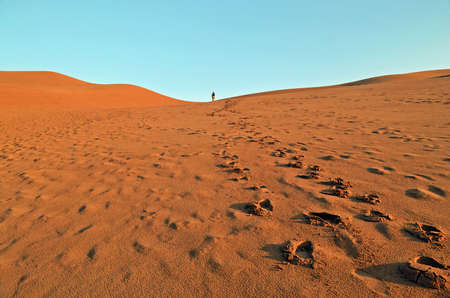 Footprints in the Sandの写真素材