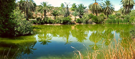 Colorful pond in israelの写真素材