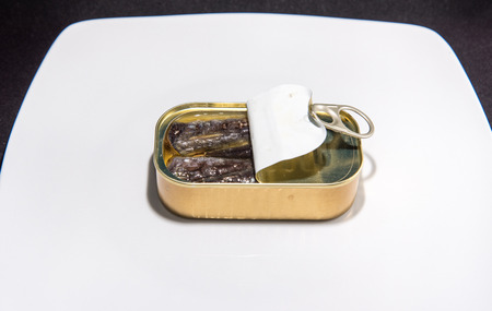 Conserve sardine a meal with high nutritional value and omega 3の写真素材