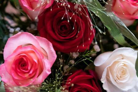 Bouquet of roses flowers of different colors, red, yellow, whiteの写真素材