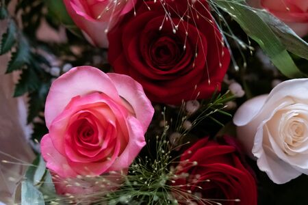 Bouquet of roses flowers of different colors, red, yellow, whiteの写真素材