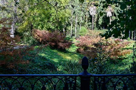 park of the caprice gardens of the 18th and 19th century in the neighborhood of Alamaeda de Osunaの写真素材