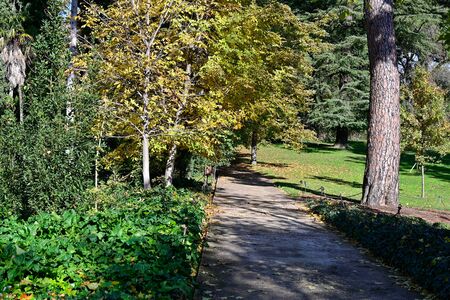 park of the caprice gardens of the 18th and 19th century in the neighborhood of Alamaeda de Osunaの写真素材