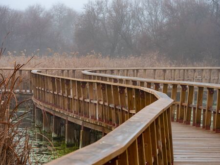 wooden walkways in the national park of the tables of Daimielの写真素材
