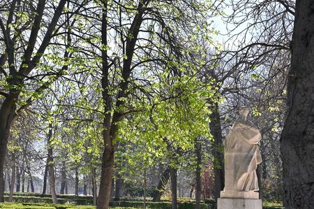 Trees and plants anticipate the arrival of spring in Madrid's public parksの写真素材