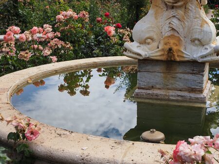 fountain in the rose garden of the Retiro public park in Madridの写真素材