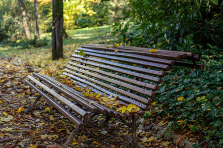 gardens of madrid with autumn colorsの写真素材