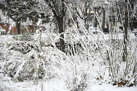 Winter and snow in Madrid streetの写真素材