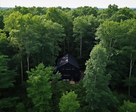Secluded Sanctuary: A Black Wooden House in a Dense Forest,house in the forest,house in the woodsの素材