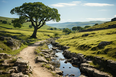 Idyllic Countryside Landscape with Winding Roadの素材