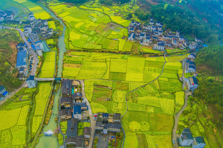 Aerial view of rice field and village