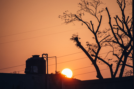 Sunset Silhouette, Sunset silhouetteの写真素材