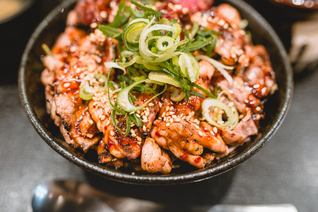 Pork, beef, meat, rice, Donburimonoの写真素材