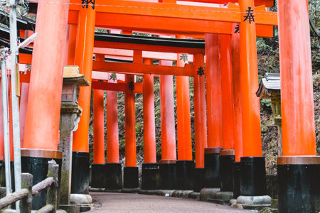 Fushimi Inari Shrine, Shrine, Torii, Fushimi Inari Shrine, shrine, Toriiのeditorial素材