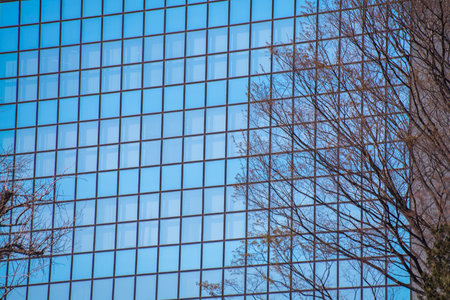 Architecture details Modern Building Glass facade Business background