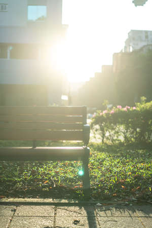Park, a chair in the park, relaxing, Banyan trees on Dunhua Road, Taipei. feeling calmの写真素材