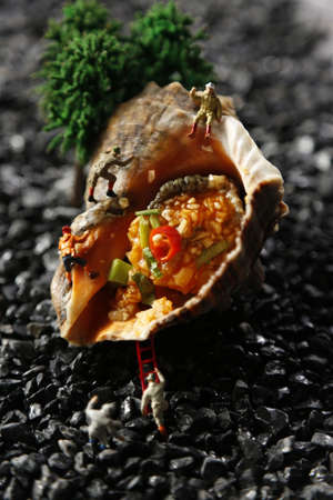Grilled conch in the black backgroundの写真素材