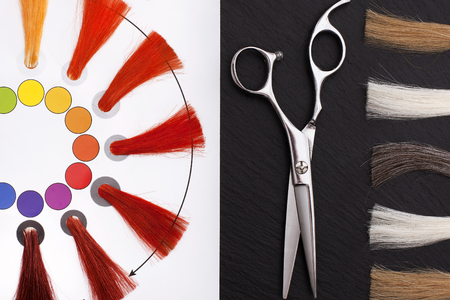 Coloristic circle. Hairdresser Accessories for coloring hair and Extensions colors on a black backgroundの写真素材