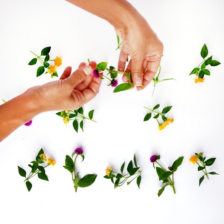 Floral pattern with hand, pink clover and yellow wildflowers on white background. Flat lay, top view.の写真素材