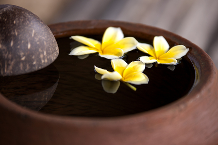 Clay jug with flower plumeria or frangipani decorated on water. Bowl in zen style for spa meditation moodの写真素材