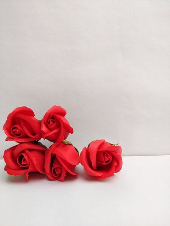 Red roses in white backgroundの写真素材